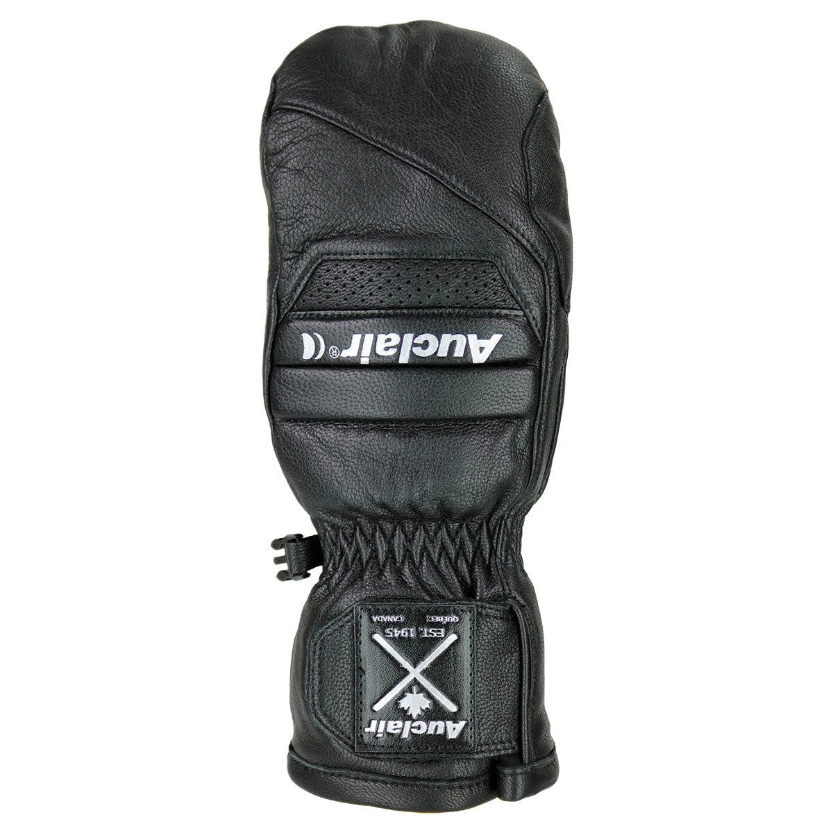 Auclair Junior Son Of T3 Mitt 1 Auclair Junior Son Of T3 Mitt