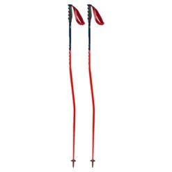 Swix WC Pro Aluminum Ski Pole -Best Ski Equipment Shop 20 Swix WC Race Pole GS